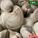  Chiba префектура производство (.) ho mbinos.( белый. ...) примерно 1kg большой ~ очень большой размер (1 шт на примерно 200g и больше )