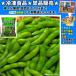  China производство соль .. ветка бобы mega упаковка 1000g замороженные продукты ...10kg до такой же отправка 