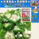  China производство .. абельмош 500g замороженные продукты ...10kg до такой же отправка 