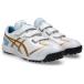 asics( Asics ) NEOREVIVE TR3 ( Neo Revive TR3) (104)White/Pure Gold 1123A042 [ бейсбол / тренировочная обувь ]