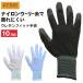 10�o�g �v���m �E���^���t�B�b�g��� 10�o�g PR-2541 �N�� �w������� ��� ����~�� ���ׂ�~�� Prono