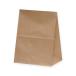 �p�b�N�^�P���} ���� �p��� XZTT0396 �n�C�o�b�O H500���N���n 210�~135�~275mm 100����
