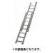  юридическое лицо только pikaPica * 2 полосный эластичный тип лестница лестница общая длина 3.75m SWP-11 (/D)