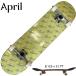  скейтборд комплект Complete Ape liruAPRIL панель HORIGOME YUTO. рис самец .SHANE O'NEILLshe-n O'Neill SCRIPT LOGOsklip Toro go skate 