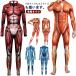  все тело костюм мускул модель тело человека трико ребенок женский костюм зентай тело человека модель костюм модель 3D Halloween костюмированная игра взрослый мужской мускул 