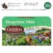 ڱ줿̾ʡۥå륷˥󥰥 ꡼ԡ ߥ ϡХƥ 20 29g (1.0oz) Celestial Seasonings Sleepytime Mint Herbal Tea