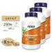 [3 шт. комплект ]nauf-z эхинацея 400mg 250 шарик NOW Foods Echinacea 400mg 250 Vef Capsules дополнение supplement здоровье шероховатость a сезон. изменение глаз 