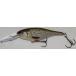 RAPALA SHAD RAP / ラパラ シャッドラップ SR-9 （ROL）
