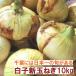  значительно .,..., мясо толщина!! песок земля ....[ Chiba префектура молоки производство новый шар лук порей ](10 kilo )