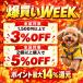 �C�^�O�� �~�j�s�� �� ���� ���̕� �t �t�� �s���V���[ �E�B�y�b�g �p�[�J�[ �h�� �g���� ���� �����O�X���[�u �r�b�O�p�[�J�[ �֘A�摜1