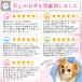 �G���U�x�X�J���[ �� �\�t�g �L �_�炩 ���b�V�� �\�t�g�J���[ ���G���U�x�X�J���[ ���p�G���U�x�X�J���[ ���̃G���U�x�X�J���[ ���p�J���[ ���^�� ���^�� �֘A�摜1