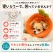 �G���U�x�X�J���[ �� �\�t�g �L �_�炩 ���b�V�� �\�t�g�J���[ ���G���U�x�X�J���[ ���p�G���U�x�X�J���[ ���̃G���U�x�X�J���[ ���p�J���[ ���^�� ���^�� �֘A�摜2