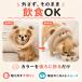 �G���U�x�X�J���[ �� �\�t�g �L �_�炩 ���b�V�� �\�t�g�J���[ ���G���U�x�X�J���[ ���p�G���U�x�X�J���[ ���̃G���U�x�X�J���[ ���p�J���[ ���^�� ���^�� �֘A�摜5