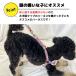 �݌Ɍ��� �� �n�[�l�X ���p�n�[�l�X ���^�� ���^�� ������� ���̃n�[�l�X �Č� ���� �t���u�� �\�t�g�n�[�l�X �`�F�b�N�����b�V���n�[�l�X���[�h�Z�b�g �֘A�摜5