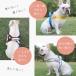 �� �t���u�� �n�[�l�X �����Ȃ� �t���u�� ���^�� ��^�� ��������� ���S�����Ȃ� �Č� �����Ȃ� �E���Ȃ� ��������h�~ �ȒP���� ���E�ȒP ���̃n�[�l�X �֘A�摜1