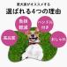 �� �t���u�� �n�[�l�X �����Ȃ� �t���u�� ���^�� ��^�� ��������� ���S�����Ȃ� �Č� �����Ȃ� �E���Ȃ� ��������h�~ �ȒP���� ���E�ȒP ���̃n�[�l�X �֘A�摜2