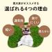 ���^�� �� �`���� �n�[�l�X �����^��  ���� ���[�h �Z�b�g ���S�����Ȃ� �����Ȃ� �E���Ȃ� ��������h�~ ���S�����Ȃ� �ȒP���� ���E�ȒP ���̃n�[�l�X �֘A�摜3