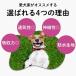 �� �}�i�[�p���c �}�i�[�E�F�A �}�i�[�p�b�h ���̎q ��^�� ���^�� ���^�� ���X ������� �p���c�J�o�[ ���ނ� �J�o�[ �q�[�g ���� �E���Ȃ� �Y���Ȃ� �֘A�摜3