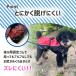 �� ���C���R�[�g �|���`�� ���^�� ���^�� ��^�� �Č� �R�[�M�[ ���p���C���R�[�g ���p�J�b�p �����C���R�[�g �J�b�p �|���`���^���C���R�[�g �֘A�摜3