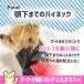 �� ���C���R�[�g �|���`�� ���^�� ���^�� ��^�� �Č� �R�[�M�[ ���p���C���R�[�g ���p�J�b�p �����C���R�[�g �J�b�p �|���`���^���C���R�[�g �֘A�摜4