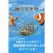 .. живое существо - Okinawa. коралл .. приятный -.... поле книжка 2 ( состояние надпись . подтвердите пожалуйста.)