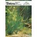 [Tetra] мир. аквариум информация Spring '84 Vol.19