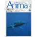 Animaanima1991 год 3 месяц *No.222 специальный выпуск : новейший кит .< бесплатная доставка >