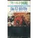  поле иллюстрированная книга набережная животное 