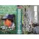 <VHS видео > скала . document Hokkaido сборник ( включая доставку )