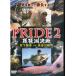 PRIDE2 Biwa-ko решение битва Matsushita ..vs Hasegawa ..< бесплатная доставка >