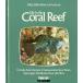 - английский язык -Life in the Coral Reef
