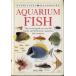 AQUARIUM FISH - состояние надпись . подтвердите пожалуйста -< бесплатная доставка >