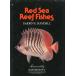 [ английский язык ] Red Sea Reef Fishes < бесплатная доставка >