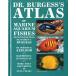 [ английский язык ] DR.BURGESS'S ATLAS of MARINE AQUARIUM FISHES