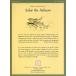[�p��]  THE ILLUSTRATED �uSalar the Salmon�v �֘A�摜1