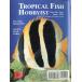 Tropical Fish Hobbyist ( тропический рыба ho bi Ist )1992 год 6 месяц номер 