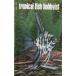 Tropical Fish Hobbyist ( тропический рыба ho bi Ist )1975 год 4 месяц номер 