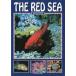 [ английский язык ] THE RED SEA