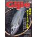 Gijie No.55