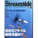  Stream боковой [Streamside] 2000 год 9 месяц номер *No.9