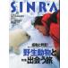 SINRA(sinla) 1999 год 3 месяц 