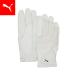 [1 день максимальный 22 раз ][ официальный ] PUMA Puma унисекс Golf Shadow winter перчатка SHADOW Winter Gloves