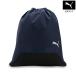 [ официальный ] Puma PUMA унисекс футбол команда гол Jim sak16L мужской женский 