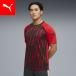[23 день 10 раз ][ официальный ] Puma PUMA мужской футбол INDIVILIGA графика рубашка с коротким рукавом 
