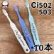 Ci502/503�@�h�������񎕃u���V�@S/M�@���炩��/�ӂ��@10�{�Z�b�g�@�q���p���u���V�@���c���@���w�Z��w�N