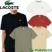 ���R�X�e LACOSTE ���� T�V���c �o�b�N�v�����g�x�[�V�b�NT�V���c �����Y TH4705-99 �g�b�v�X �^�E�����[�X �J�W���A�� �X�|�[�c ����