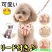 �n�[�l�X �� �L ������� �X�g���C�v �ȒP���� ���킢�� �E���Ȃ� ���b�V�� ���^�� ���^�� �l�R ���� ���[�h�Z�b�g �U�� ���{�� �y�b�g �h�b�O