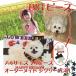�W�O�\�[�p�Y��  �����L�O �ʐ^ �I�[�_�[���C�h �I���W�i�� �v�����g �r�b�O�s�[�X A4�T�C�Y 24�s�[�X ���܎O ���ƋL�O �M�t�g ����������� ���΂������