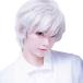  cosplay for wig silver . white . visual 
