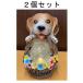 �\�[���[���C�g �Q�Z�b�g �� �h�b�O ��񂿂�� DOG �E�F���J�����C�g �K�[�f�� ���C�g  �\�[���[�[�d �K�[�f�j���O ���֓� ���� ���O ���o�}�� ��������